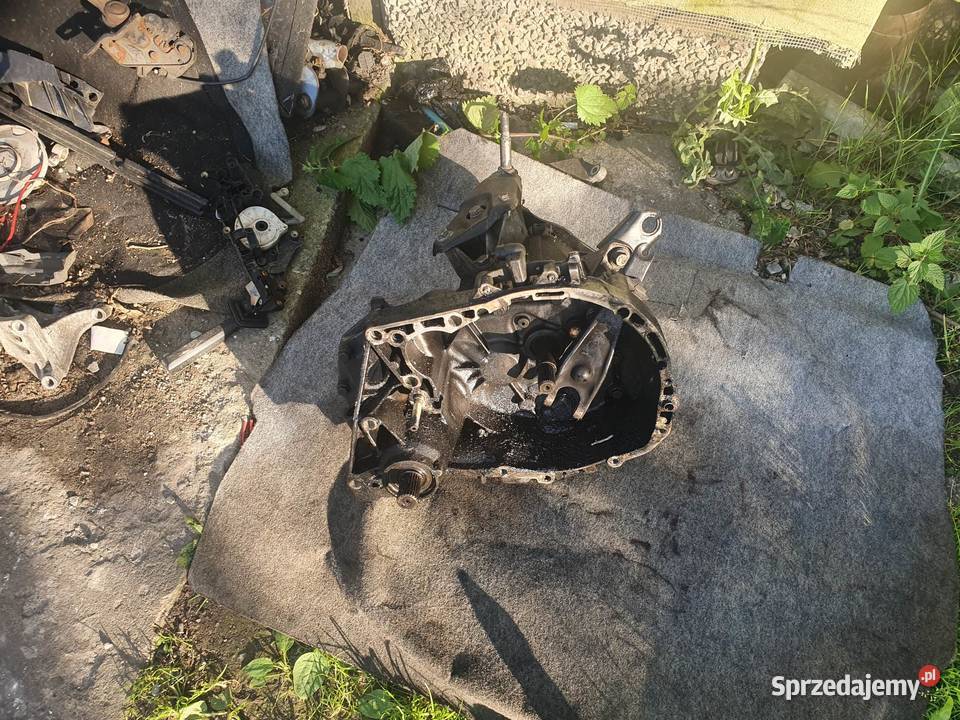Skrzynia biegów Renault Megane Scenic Clio 19 D