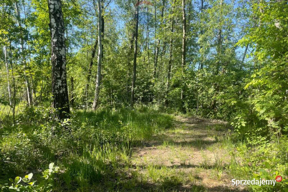 Działka ze stawem 4085m2 w Budach Michałowskich