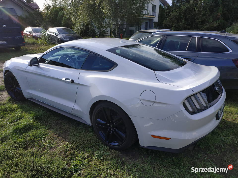 Syndyk sprzeda Ford Mustang dolnośląskie Wrocław