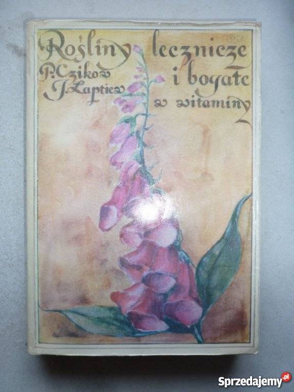 ROŚLINY LECZNICZE I BOGATE W WITAMINY zdrowie, pierwsza pomoc