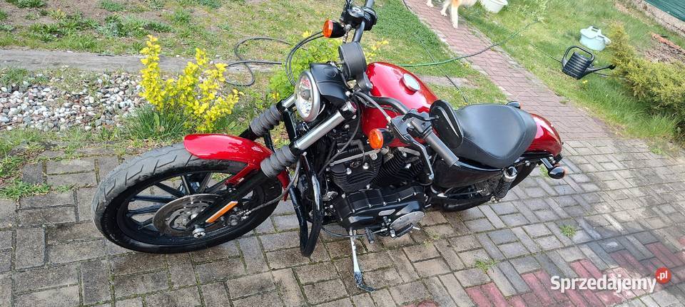 Iron 883 polski salon niski przebieg zadbany Stanisławów Pierwszy
