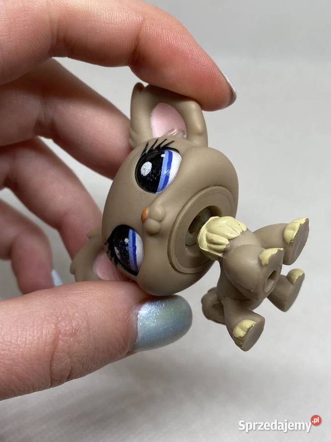 LPS Littlest pet shop pies chihuahua 1393 łódzkie Łódź