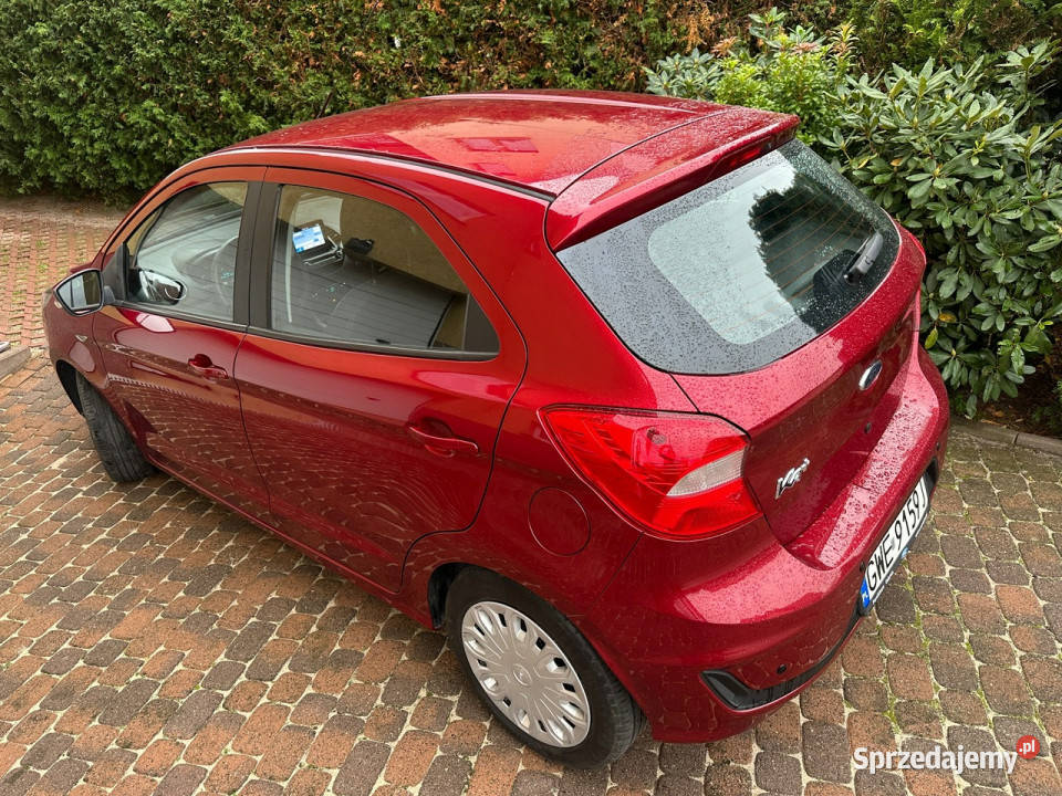 Ford Ka Polski salon rej 19podg szyba czołówa i Wejherowo