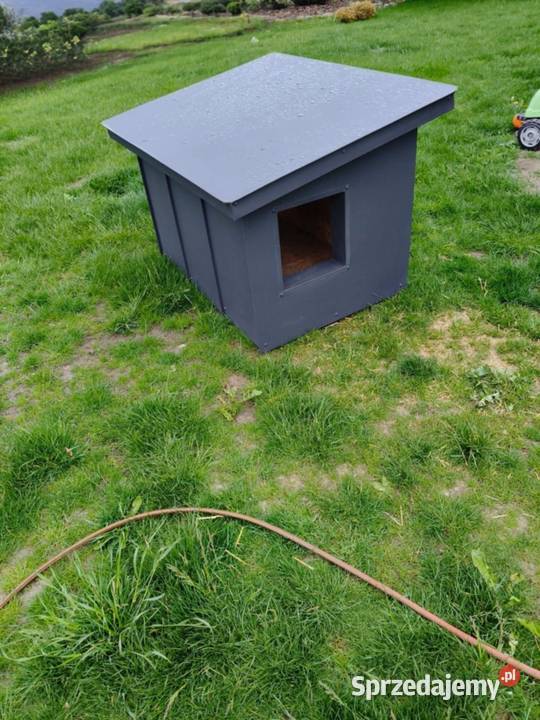 Buda średniego psa Wólka-Przekory