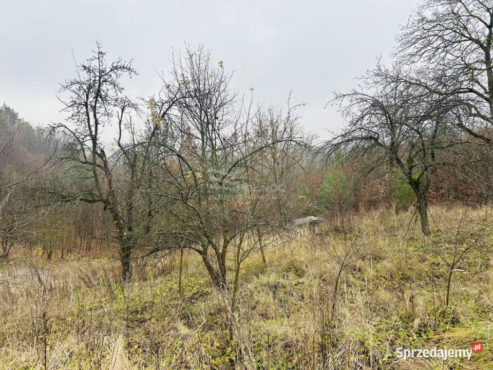 Działki rolneTymin asfalt Tymin