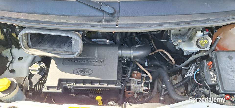 Ford Transit 22 TDCi Opole