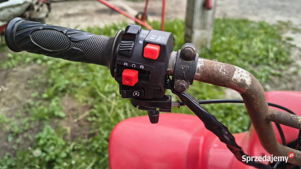 SPRZEDAM BASHAN 200cc pomorskie