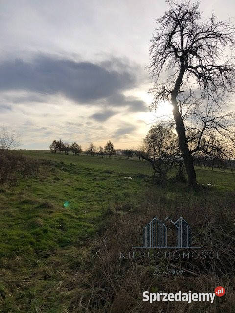 Dom wolnostojący Zalipie 180m2 Nieruchomości