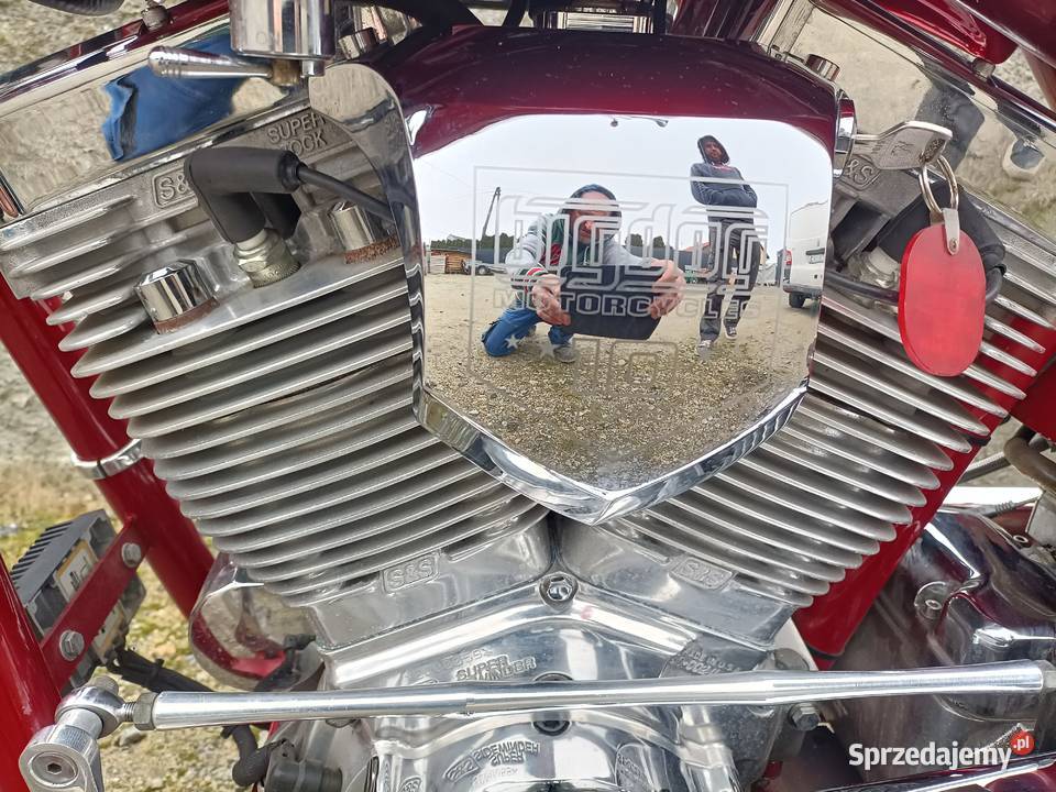 Harley Big Dog Mastiff kujawsko-pomorskie