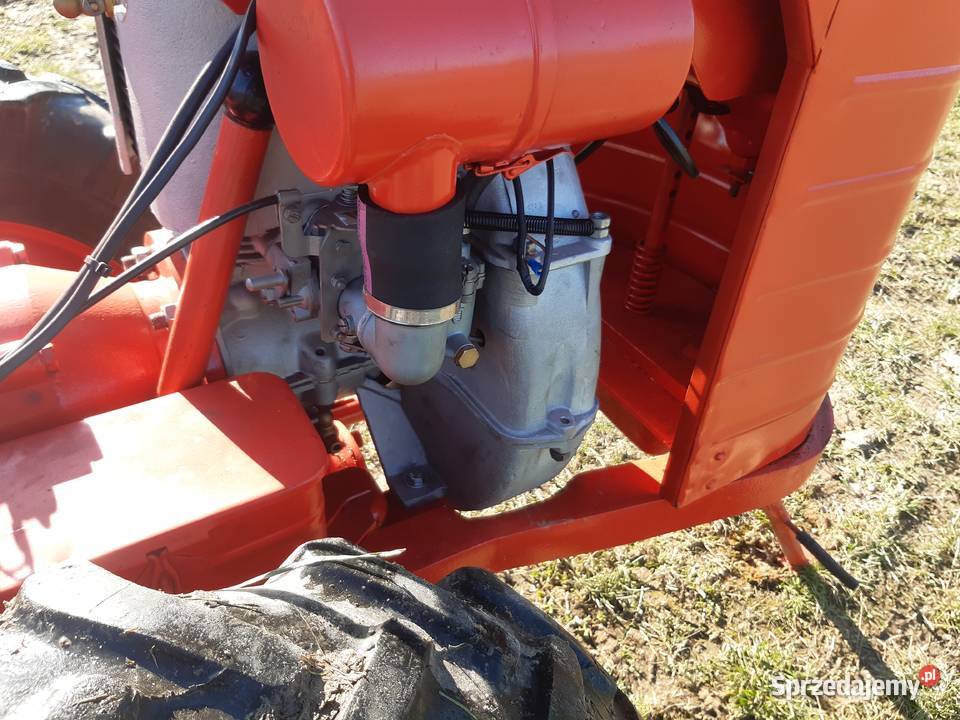 Dzik 21 lisek traktorek Pozostałe Zamość