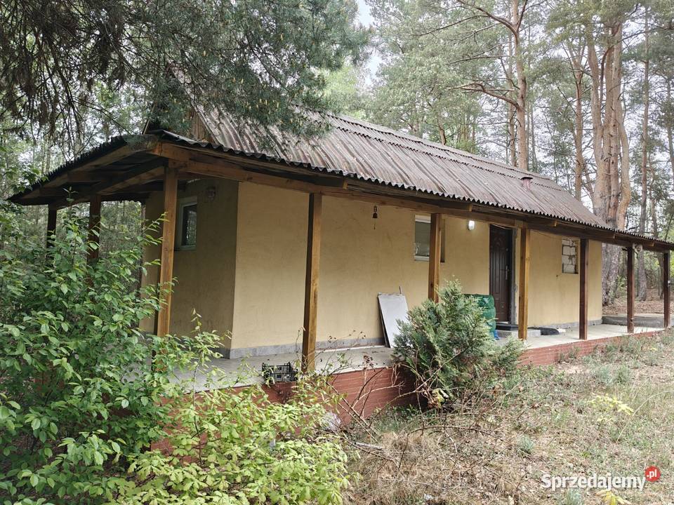 Syndyk sprzeda Łacha mazowieckie