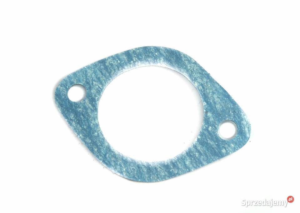 Dolny zestaw uszczelek silnika Tajęcina