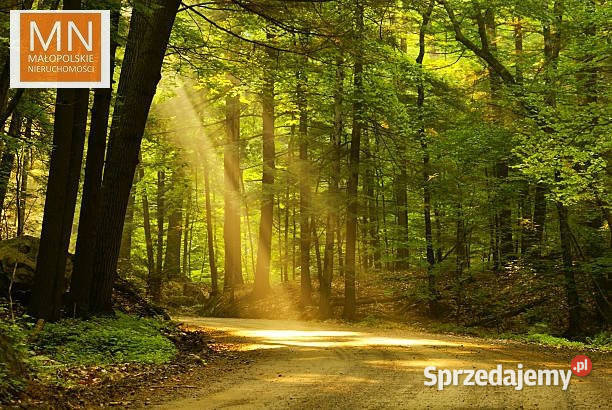 Działka Borzęcin 28900m2 sprzedam