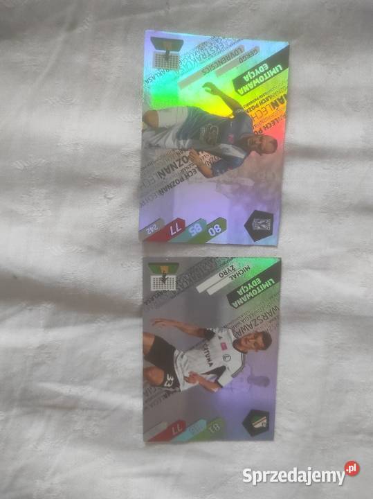 karty piłkarskie ekstraklasa panini 20142015 Żagań