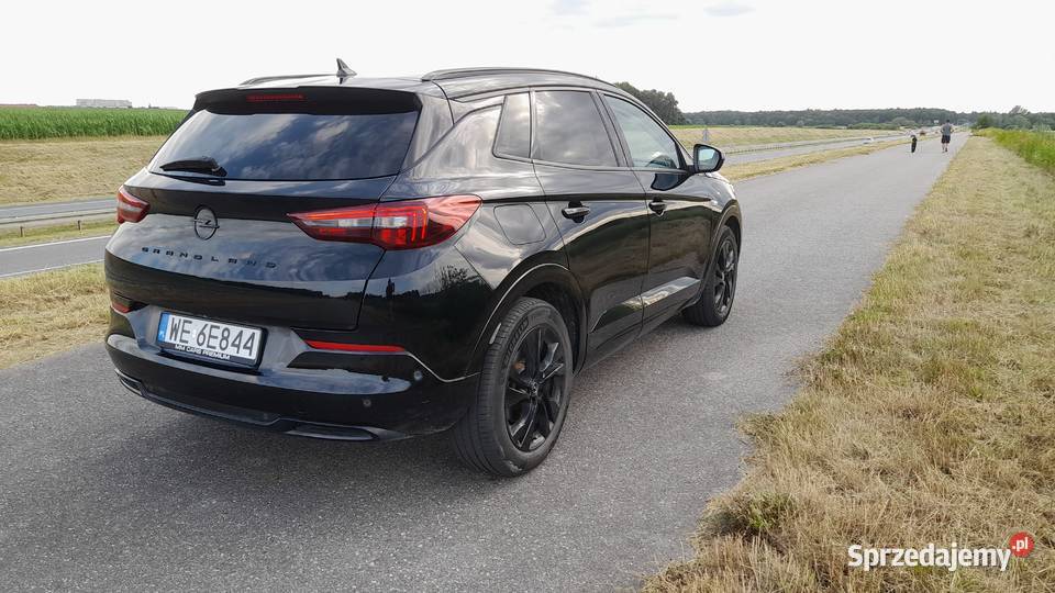 OPEL GRANDLAND 2022 oszczędny i dynamiczny Długołęka
