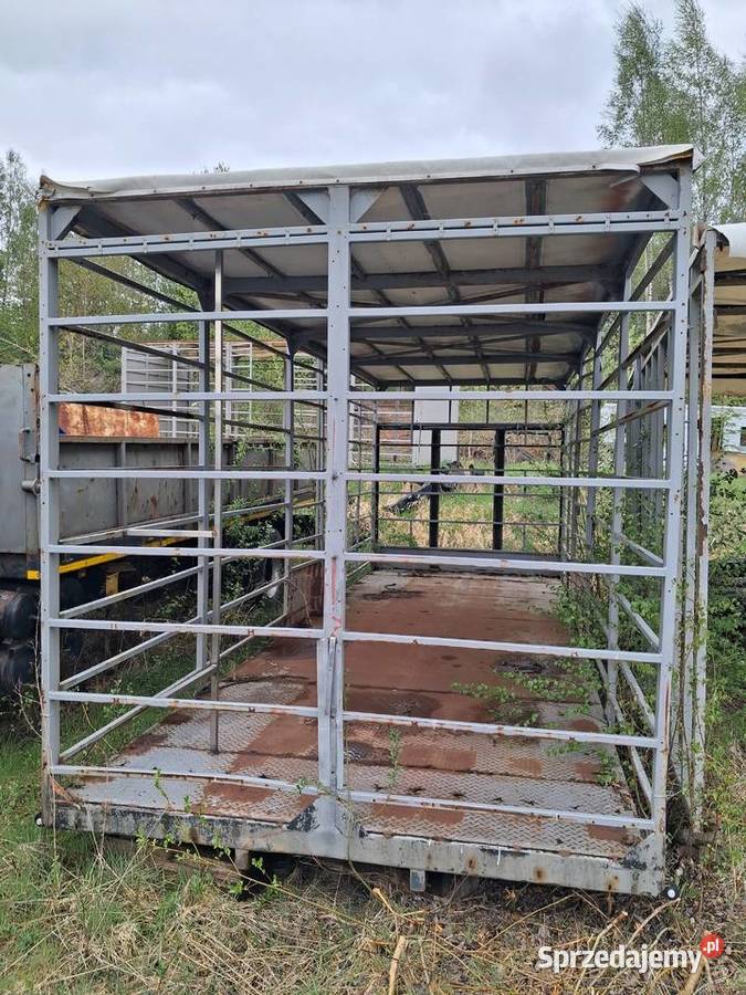 Kojec psa psów 75 m x25 m stalowy solidny furtki Sierakowice