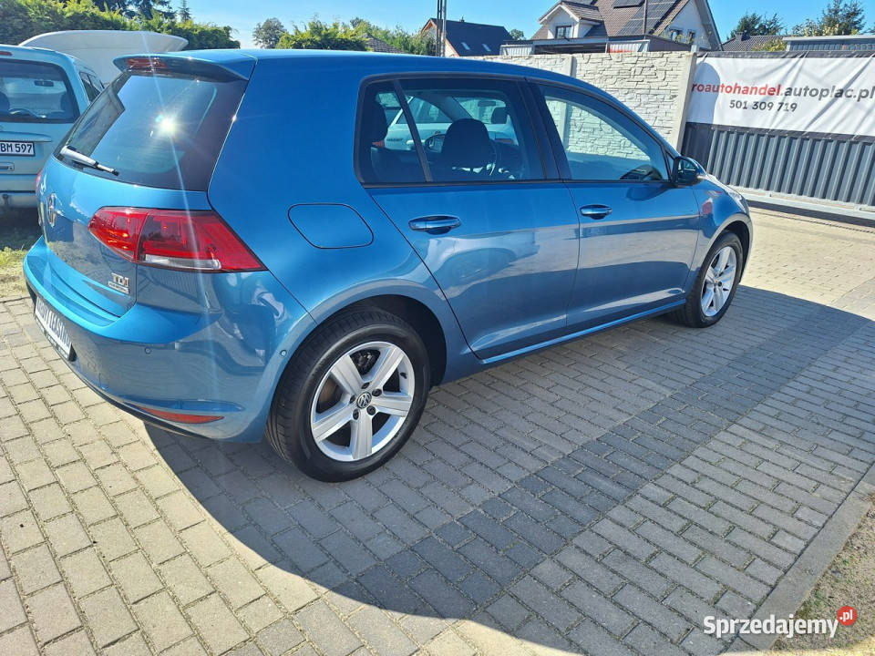 Volkswagen Golf Bezwypadkowy Serwisowany elektryczne lusterka zachodniopomorskie Załom