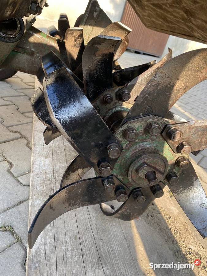 Glebogryzka Grudziądzka Glebogryzarki Lusławice