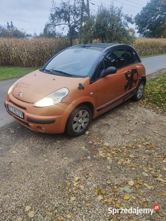Citroen C3 pluriel Rok produkcji 2004 C3 śląskie