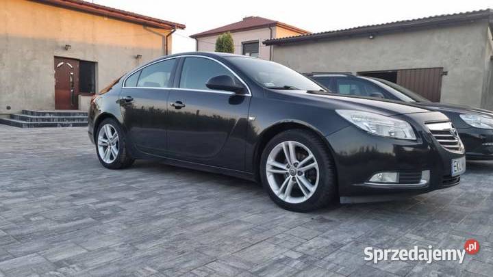 Opel Insignia 2010 20 CDTI Eco flex Żychlin
