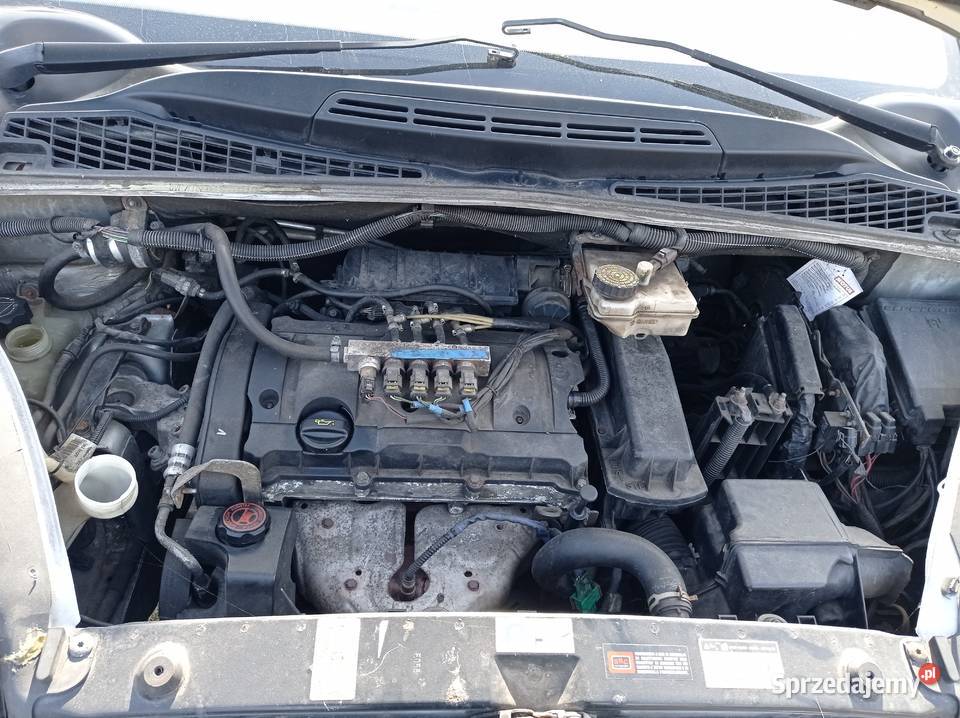Citroen Xsara Picasso 18 85 kW 2005 r dawca Rok produkcji 2005 Motoryzacja Szklarka Myślniewska sprzedam