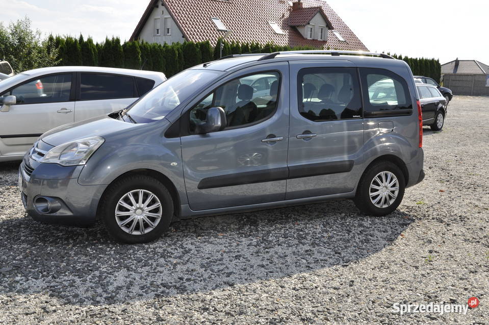 berlingo multi space rej Sulechów