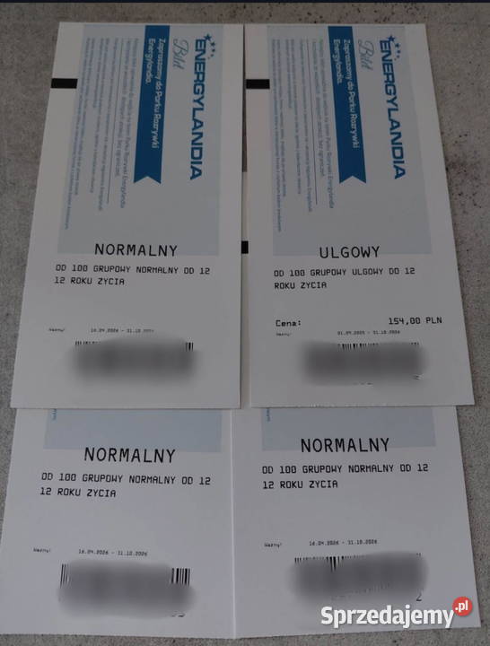 Bilety do energylandii 3 dorosłe1 dziecko