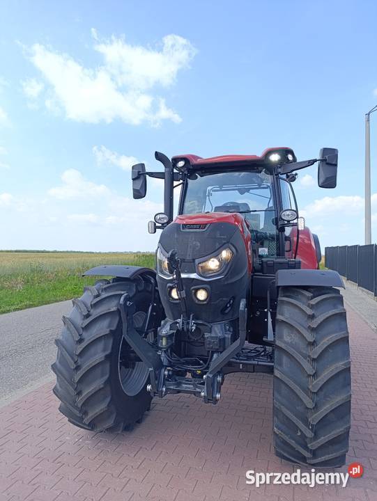 Nowy ciągnik rolniczy Case IH Puma 150 Kutno