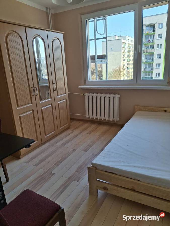 Pokój do wynajęcia Sosnowiec