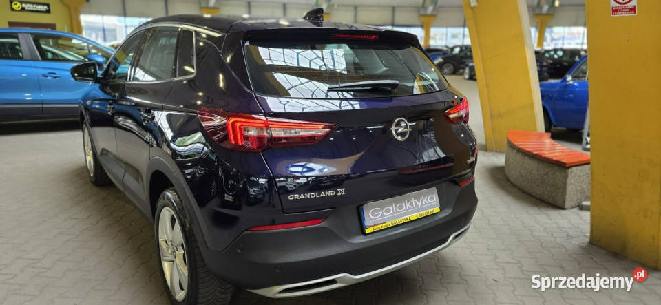 Opel Grandland X 20182019 OPIS W podanej roczna garażowany Mysłowice