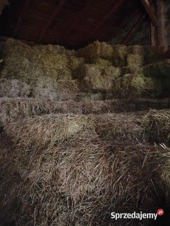 Spadam siano 2024 w kostkach Trawy, słoma Kamienica