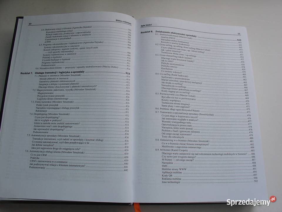 Biblia ebiznesu Praca zbiorowa Łódź