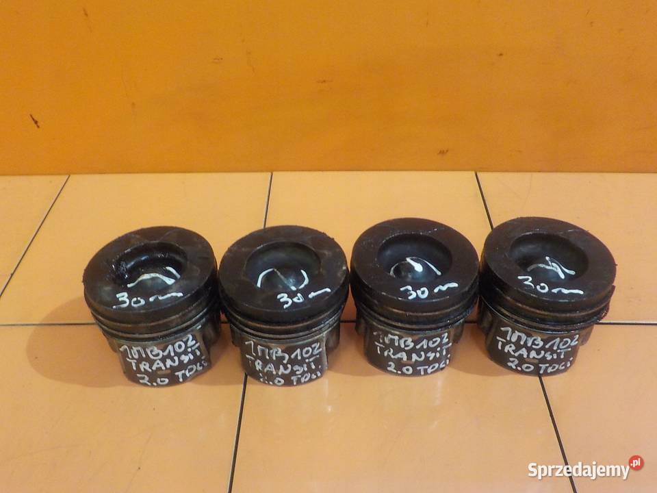 FORD TRANSIT MK8 20 TDCI ECOBLUE 19r 131 YMR6 Suków