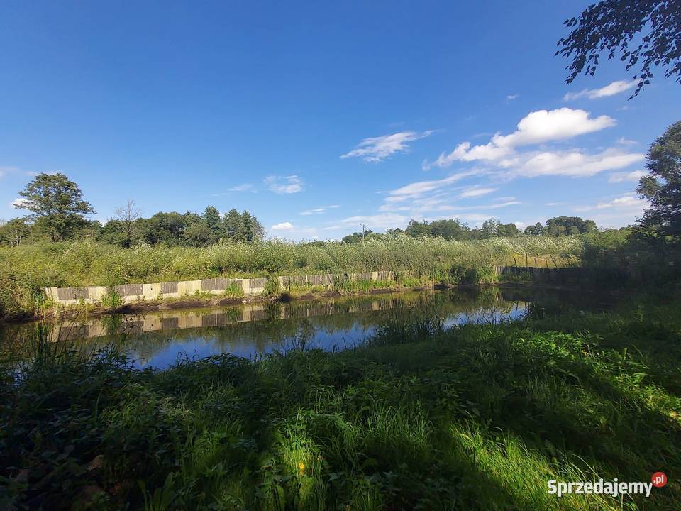 Las ze stawem Annopol 267002m2 lubelskie