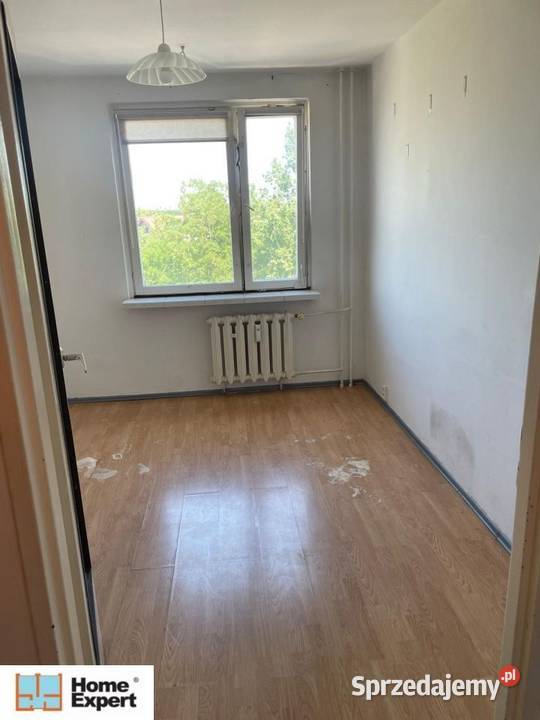 2pok 50met Hłaski BALKONPIWNICA Wrocław Liczba pokoi 2