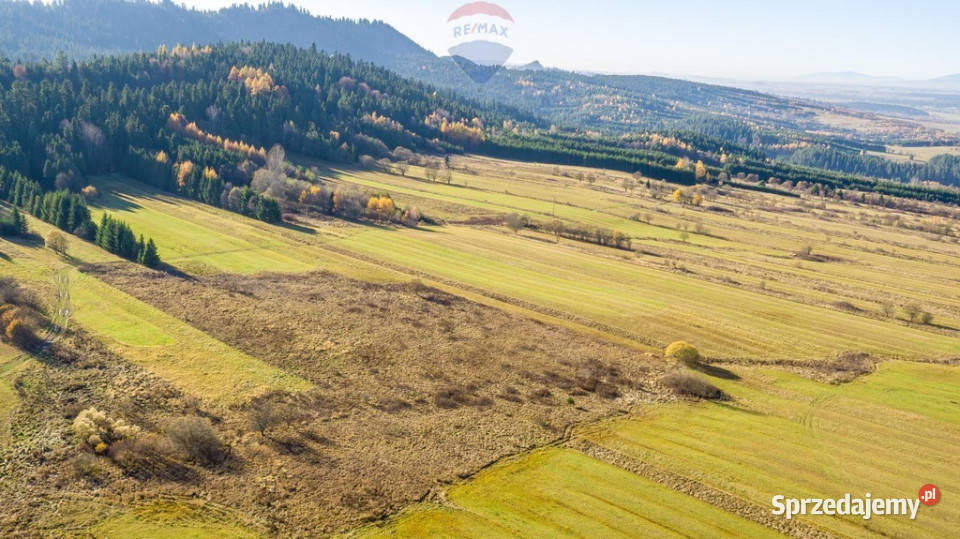 sprzedaży działki Frydman sprzedam