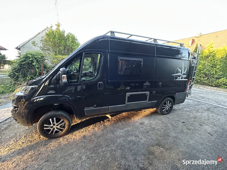 Kamper Fiat Ducato Westfalia Amundsen 540D Rok produkcji 2016 Konin