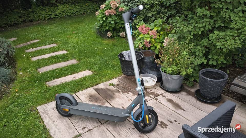Motus Scooty 10 hulajnoga 350W 15Ah zasięg 60