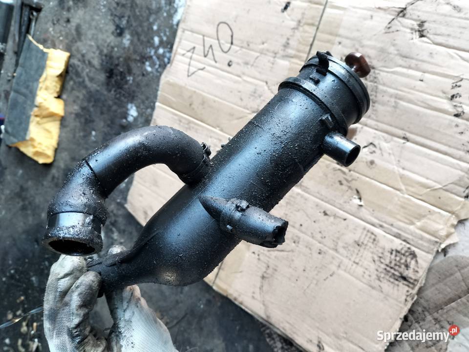 ODMA MIARKA OLEJU PEUGEOT 406 CITROEN FIAT 19 TD Kamień-Kolonia