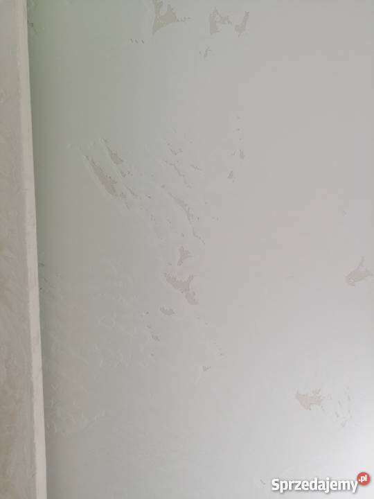 Tynk dekoracijny Beton Dekoracijny Sufit wewnętrzne Kraków sprzedam