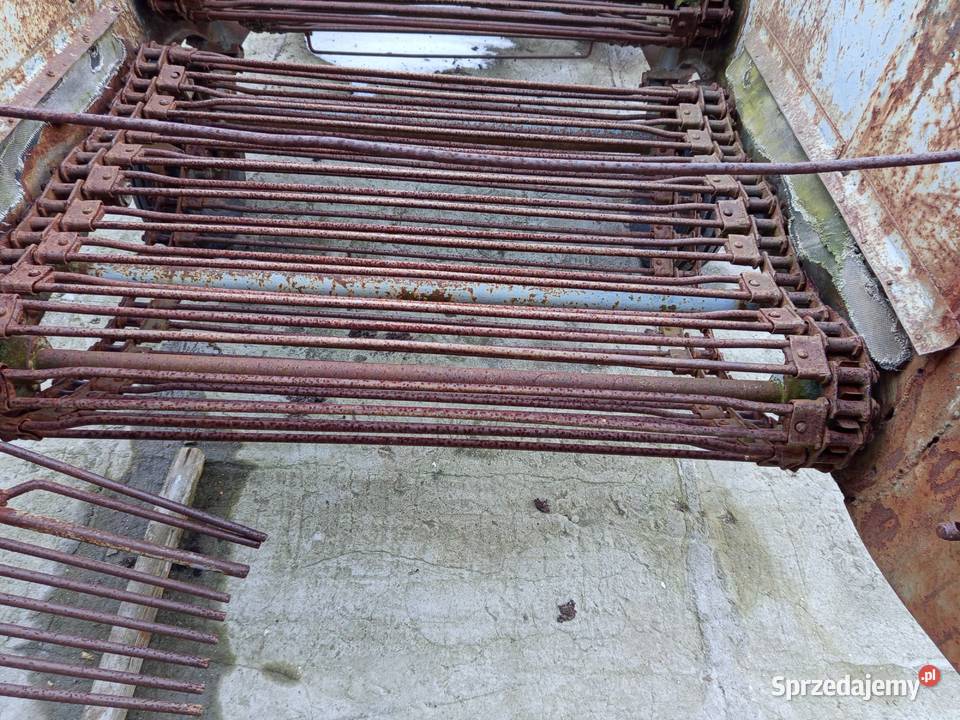 Kopaczka koparka ziemniaki warzywa chrzan cebula Szynkielów