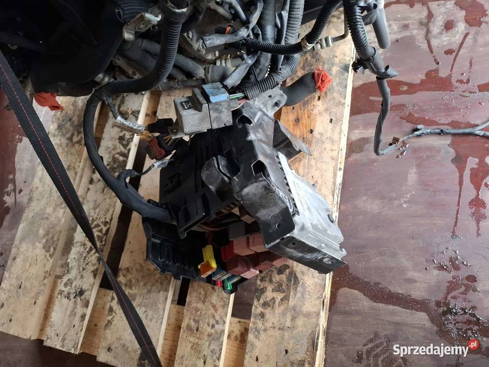 Sprzedam silnik opel vivaro 20 M9R