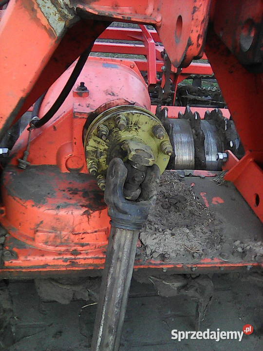 Brona talerzowa kun Rucewo