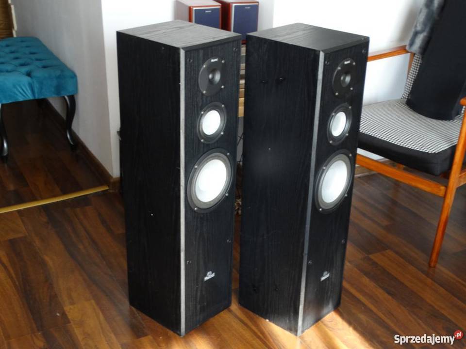 Mocne kolumny Magnat 2 x 240 wat WYSYŁKA podkarpackie Jasło