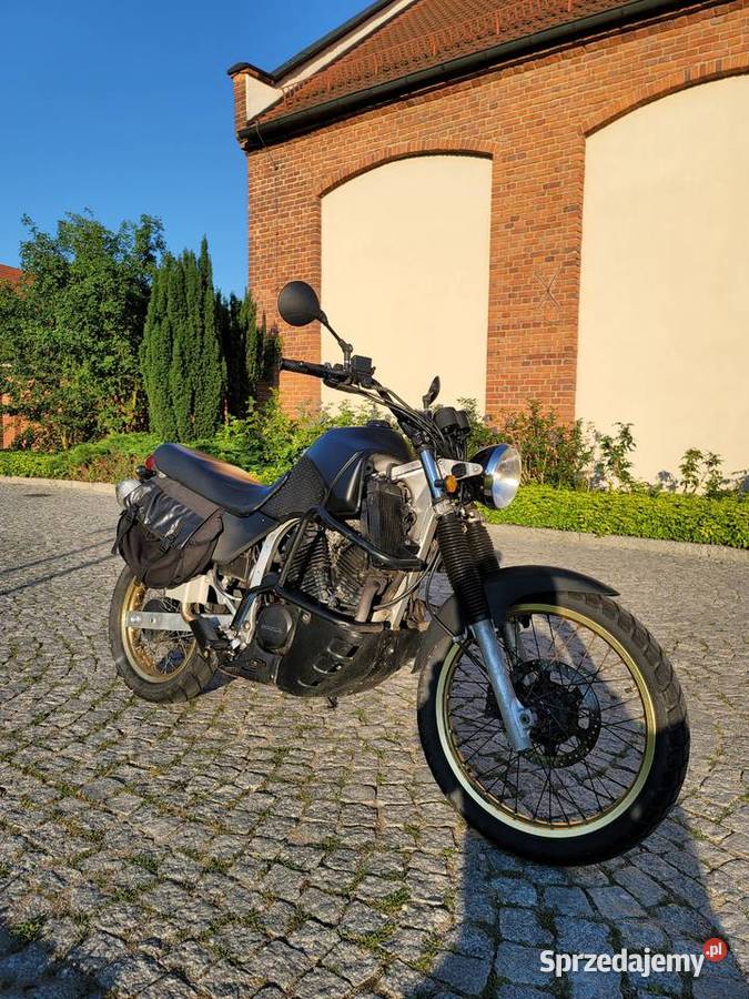 Transalp 600 1997 custom scrambler dolnośląskie