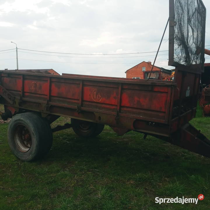 rozrzutnik Piątek sprzedam