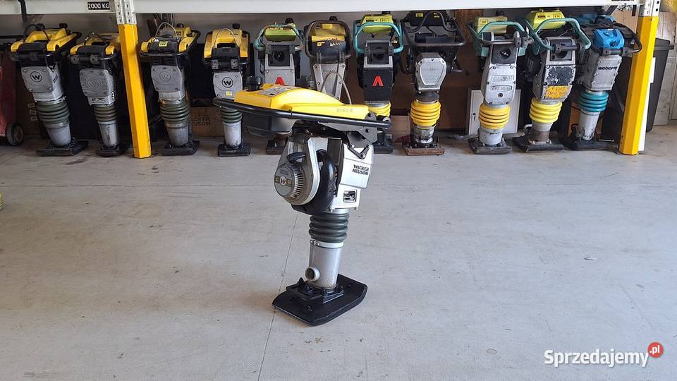 Skoczek Stopa WACKER NEUSON BS 502 Plus 11in Trzebnica