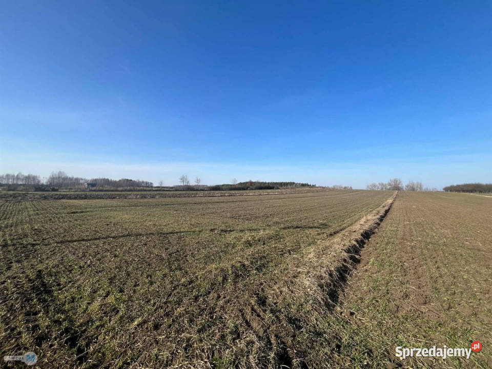 sprzedaży działki Gnojno 5800m2 12zł/m2