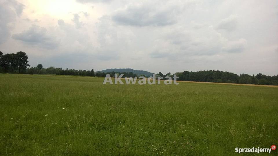 grunt 1004m2 Bładnice Górne budowlana śląskie Bładnice Górne