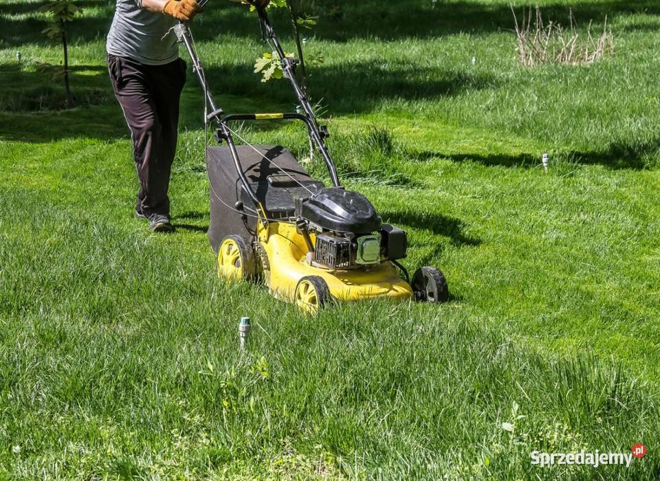 Koszenie trawnikópielęgnacja ogrodówZapisy Tarnów